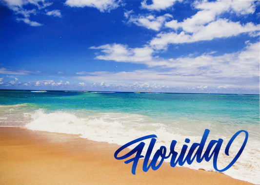 LP0046 FLORIDA BEACH