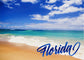 LP0046 FLORIDA BEACH
