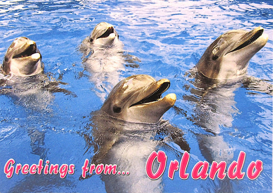 LP0607 ORLANDO DOLPHINS
