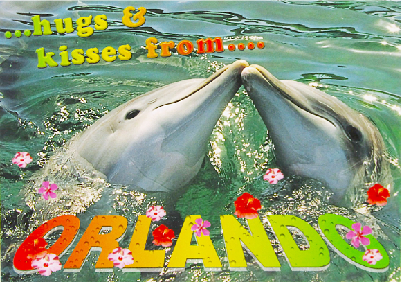 LP0609 ORLANDO DOLPHINS