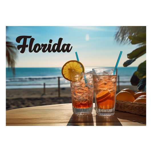 LP0909 FLORIDA BEACH DRINKS