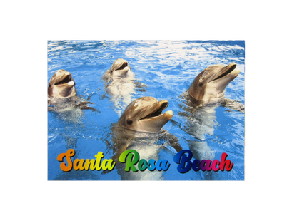 LP0933 SANTA ROSA BEACH DOLPHINS