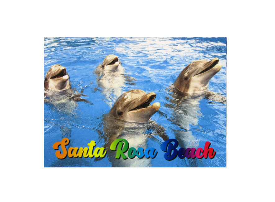 LP0933 SANTA ROSA BEACH DOLPHINS