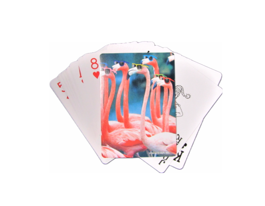 PC0055 PAD FLAMINGOS