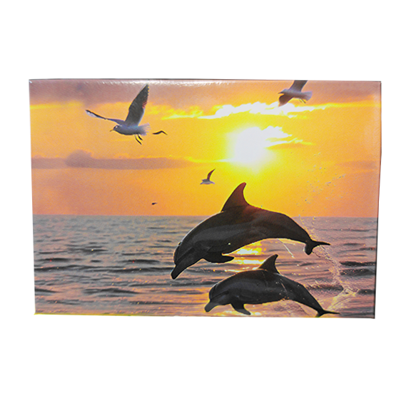 PM0503 PAD DOLPHINS