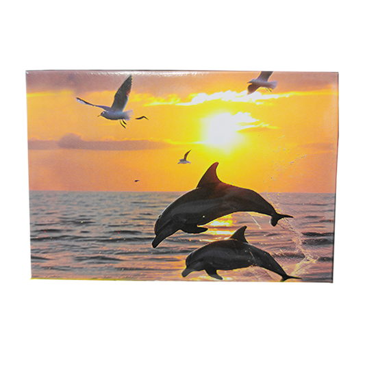 PM0503 PAD DOLPHINS