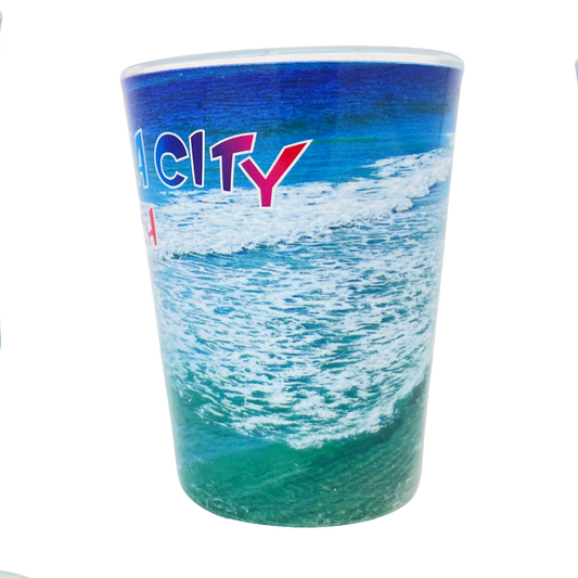 SG1006B PANAMA CITY BEACH