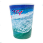 SG1006B PANAMA CITY BEACH