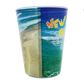 SG1006D NEW SYMRNA BEACH