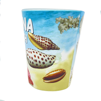 SG1008B NEW SYMRNA STARFISH