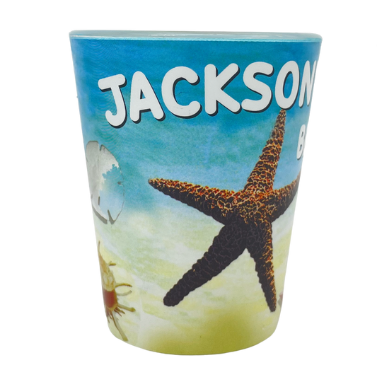 SG1008C JACKSONVILLE BEACH STARFISH