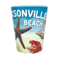 SG1008C JACKSONVILLE BEACH STARFISH