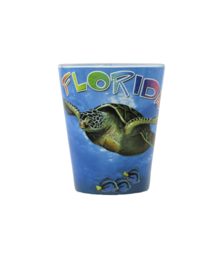SG1013 FLORIDA TURTLE – Beach Hut B2B