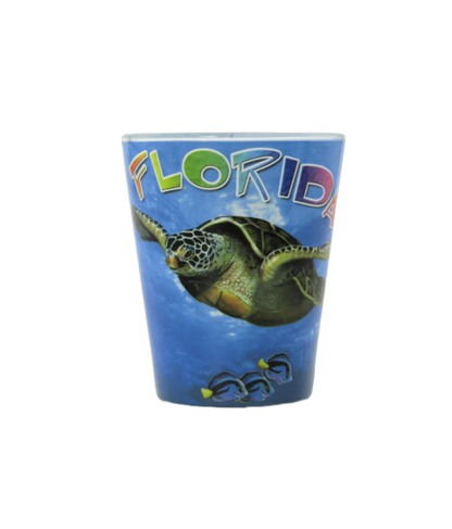 SG1013 FLORIDA TURTLE