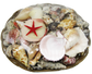 SS0001 12" SHELL BASKET WITH ASSORTED SHELLS