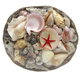 SS0001 12" SHELL BASKET WITH ASSORTED SHELLS