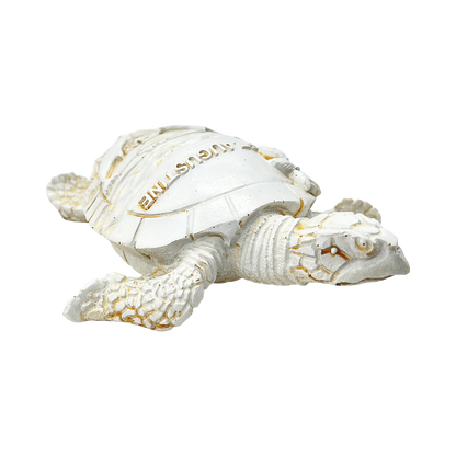 FIG5020D ST. AUGUSTINE TURTLE