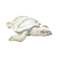 FIG5020D ST. AUGUSTINE TURTLE