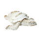 FIG5020A DESTIN BEACH TURTLE