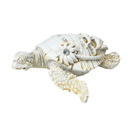 FIG5020D ST. AUGUSTINE TURTLE