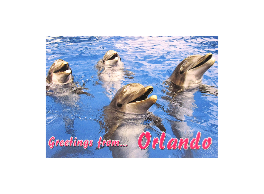 LP0607 ORLANDO DOLPHINS