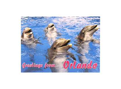 LP0607 ORLANDO DOLPHINS