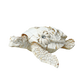 FIG5020A DESTIN BEACH TURTLE