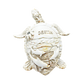 FIG5020A DESTIN BEACH TURTLE