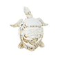 FIG5020D ST. AUGUSTINE TURTLE