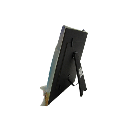 FR6503 PAD BEACH SURFBOARD
