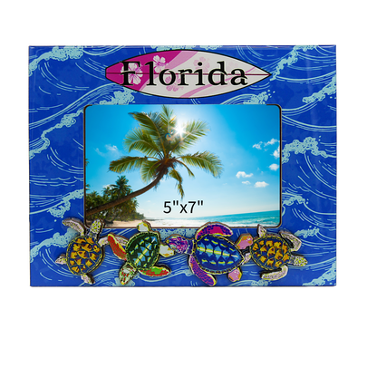FR6504 FLORIDA TURTLE FRAME