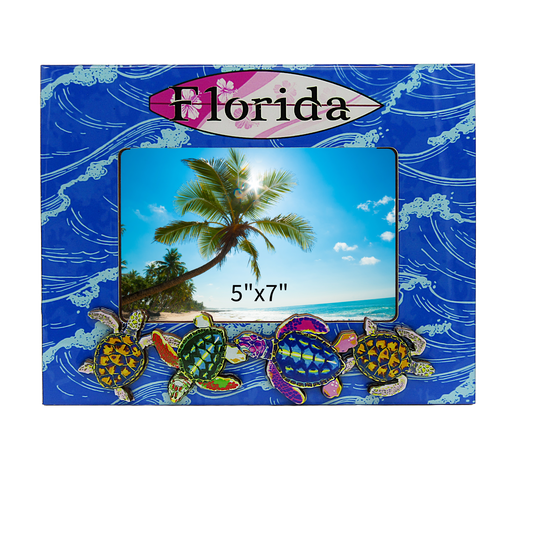 FR6504 FLORIDA TURTLE FRAME