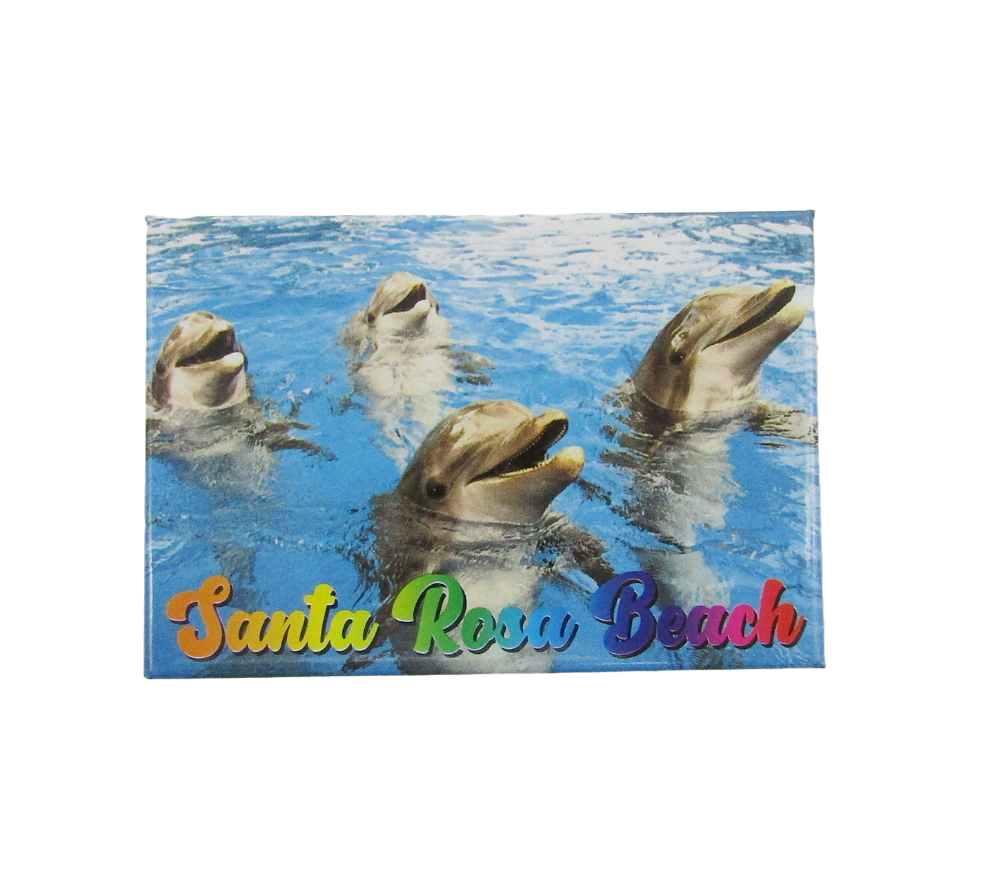PM0003 SANTA ROSA BEACH DOLPHINS