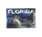 PM0006 OCEAN SHARK FLORIDA