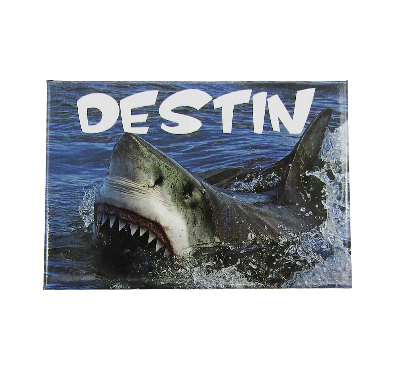 PM0006A OCEAN SHARK DESTIN