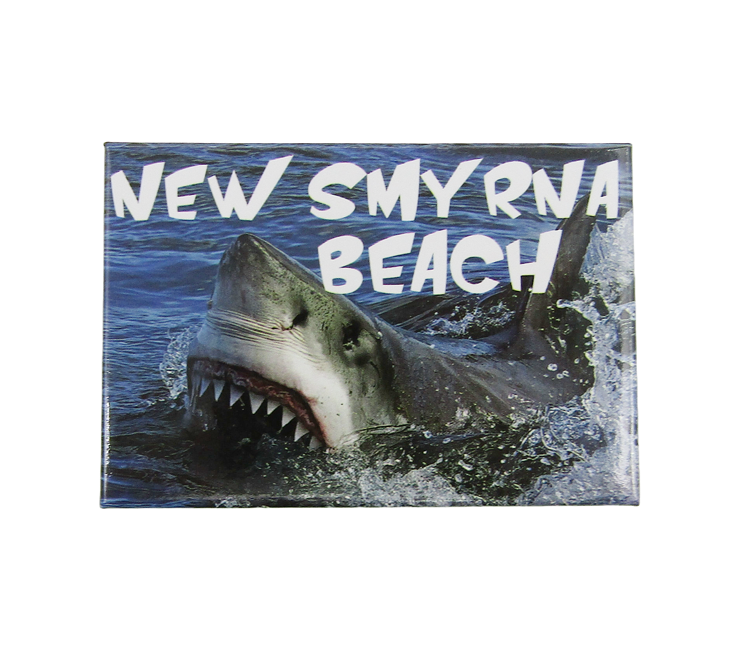 PM0006C OCEAN SHARK NEW SYMNRA BEACH