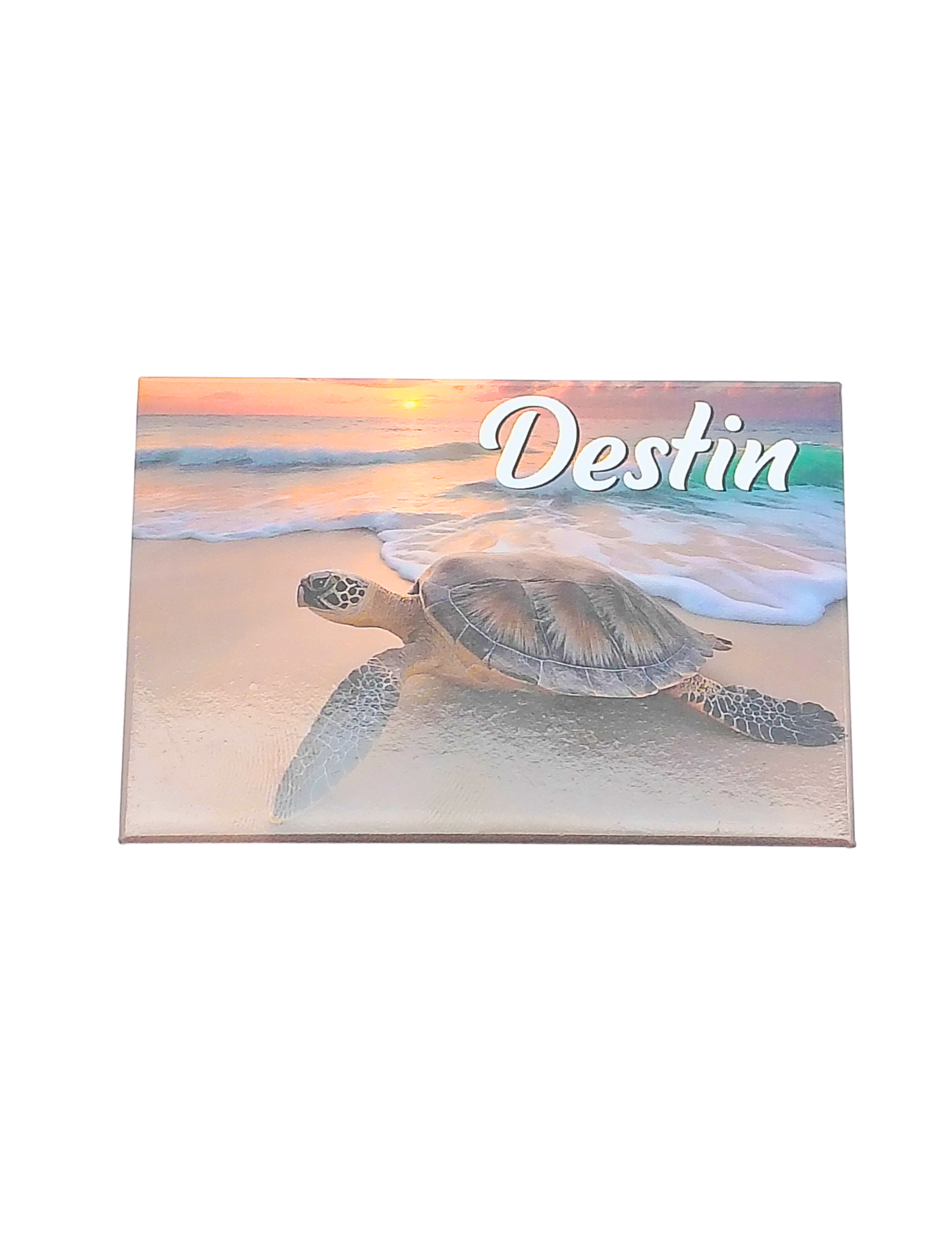 PM0014 DESTIN TURTLE
