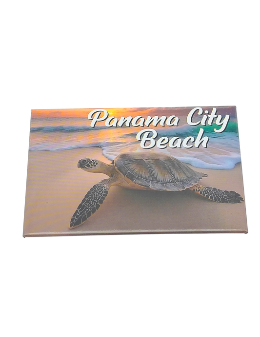 PM0015 PANAMA CITY BEACH TURTLE