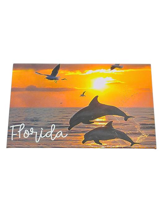 PM0018 FLORIDA DOLPHIN