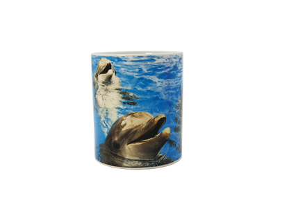SM0003 PAD DOLPHIN
