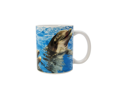 SM0003 PAD DOLPHIN