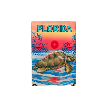 3DM1101 FLORIDA TURTLE