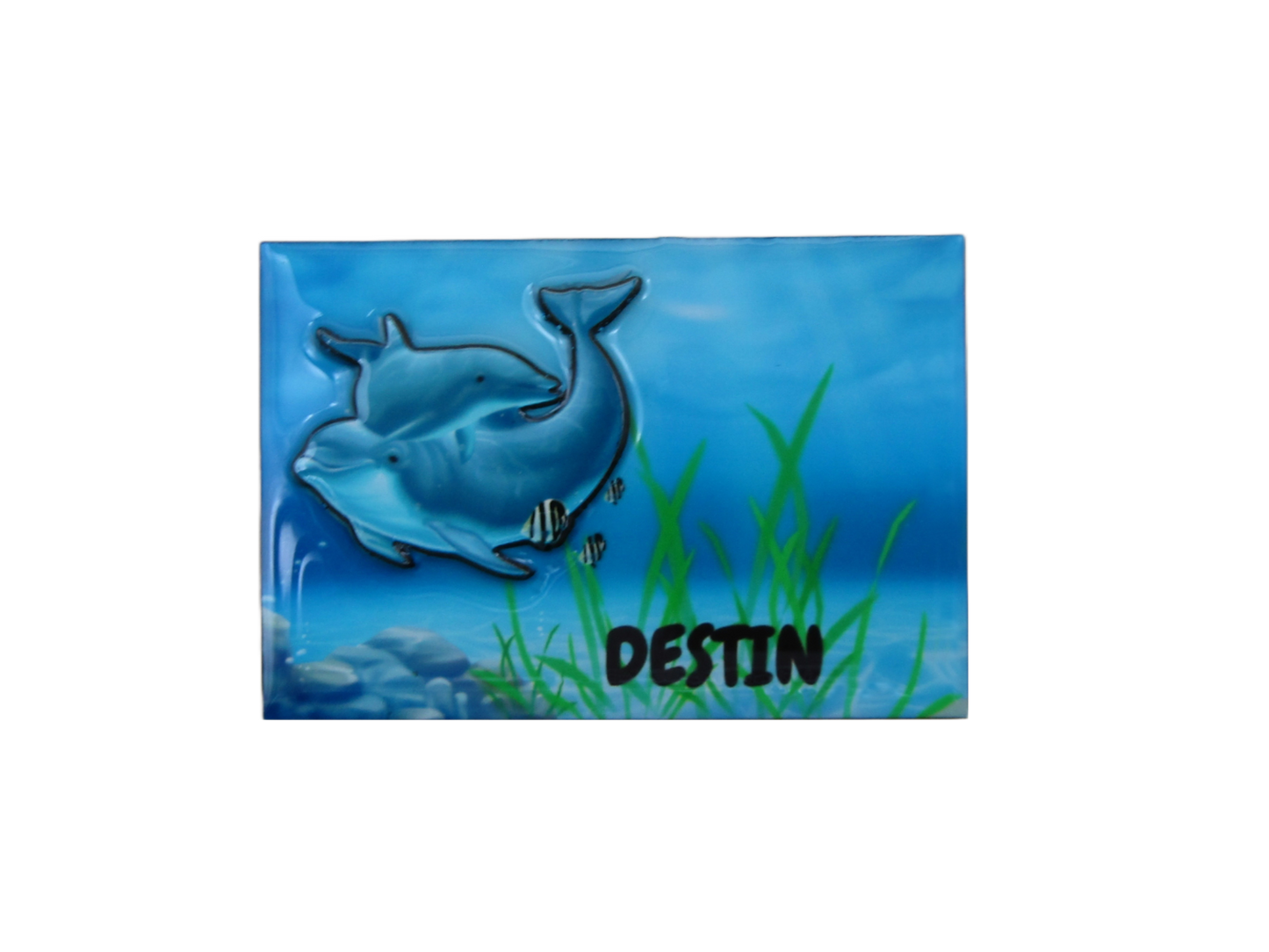3DM1304 DESTIN DOLPHINS