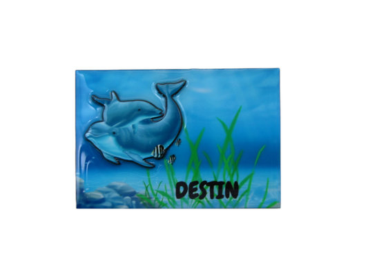 3DM1304 DESTIN DOLPHINS