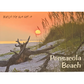 LP0909 PENSACOLA BEACH DRIFTWOOD SUNSET