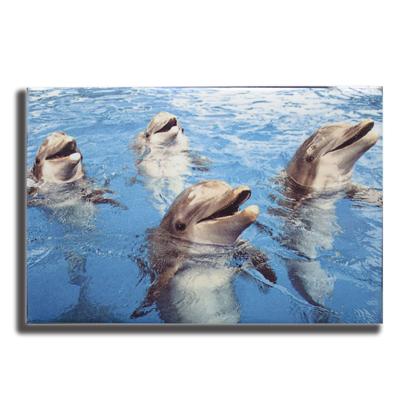 PM0503 PAD DOLPHINS