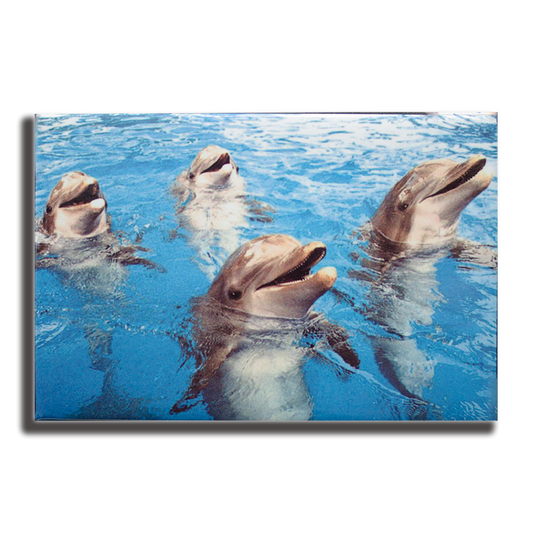 PM0503 PAD DOLPHINS