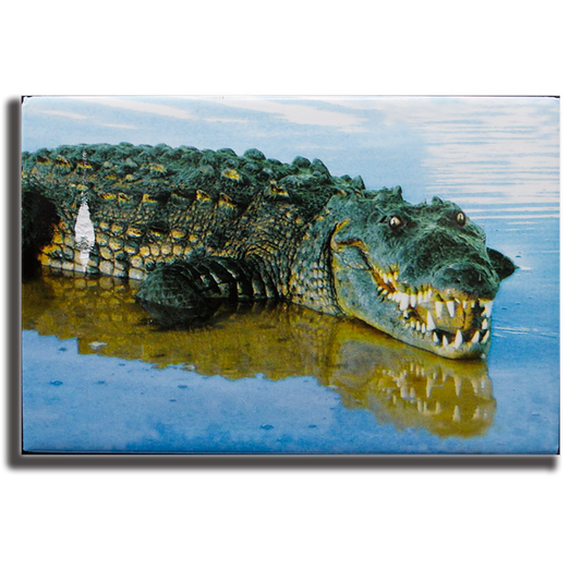 PM0504 PAD GATOR - limited avail, rest are stamped certain areas