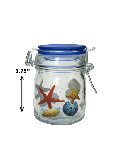 CA3001A DESTIN STARFISH