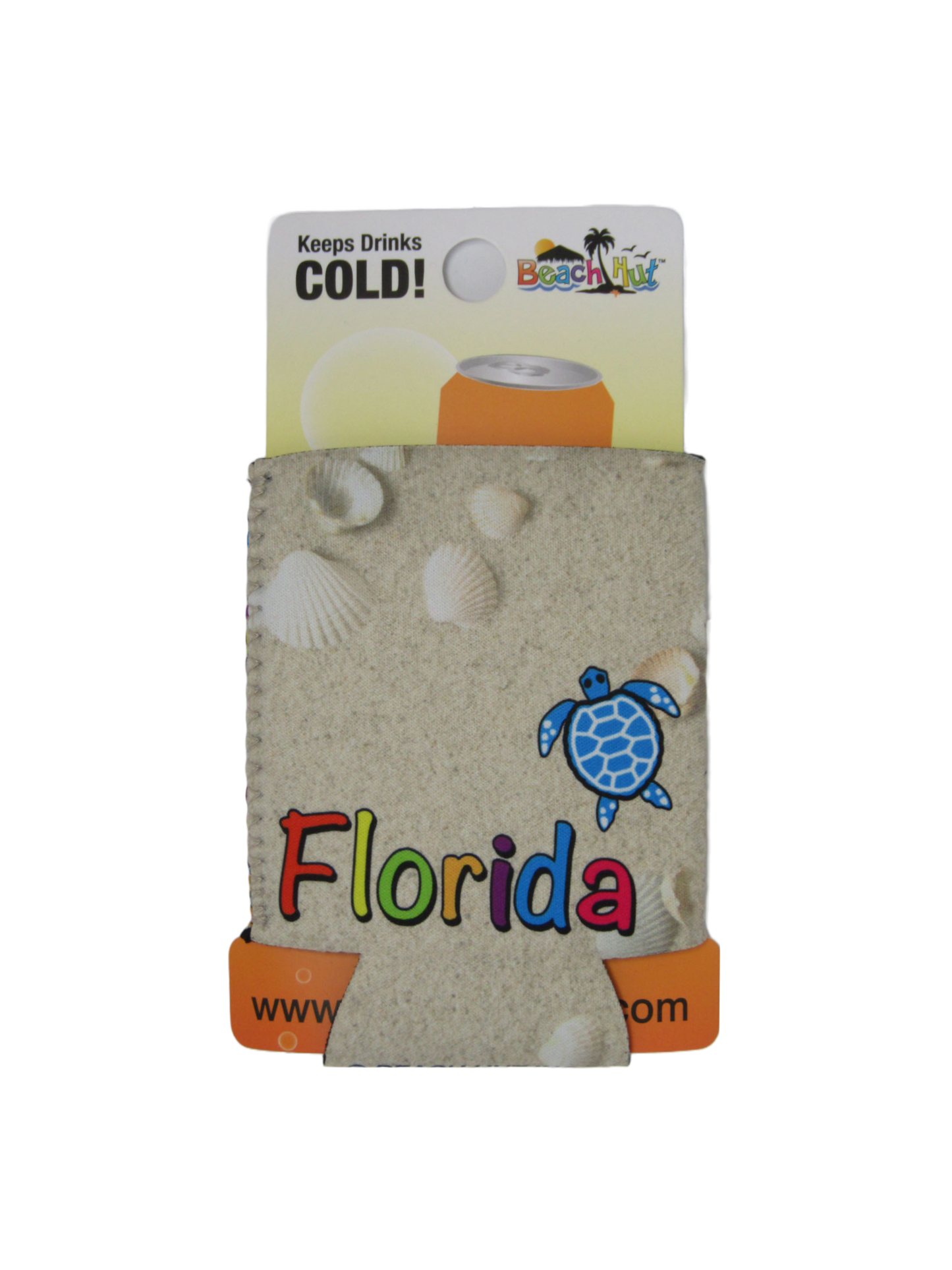 CK1009 FLORIDA  BEACH TURTLE
